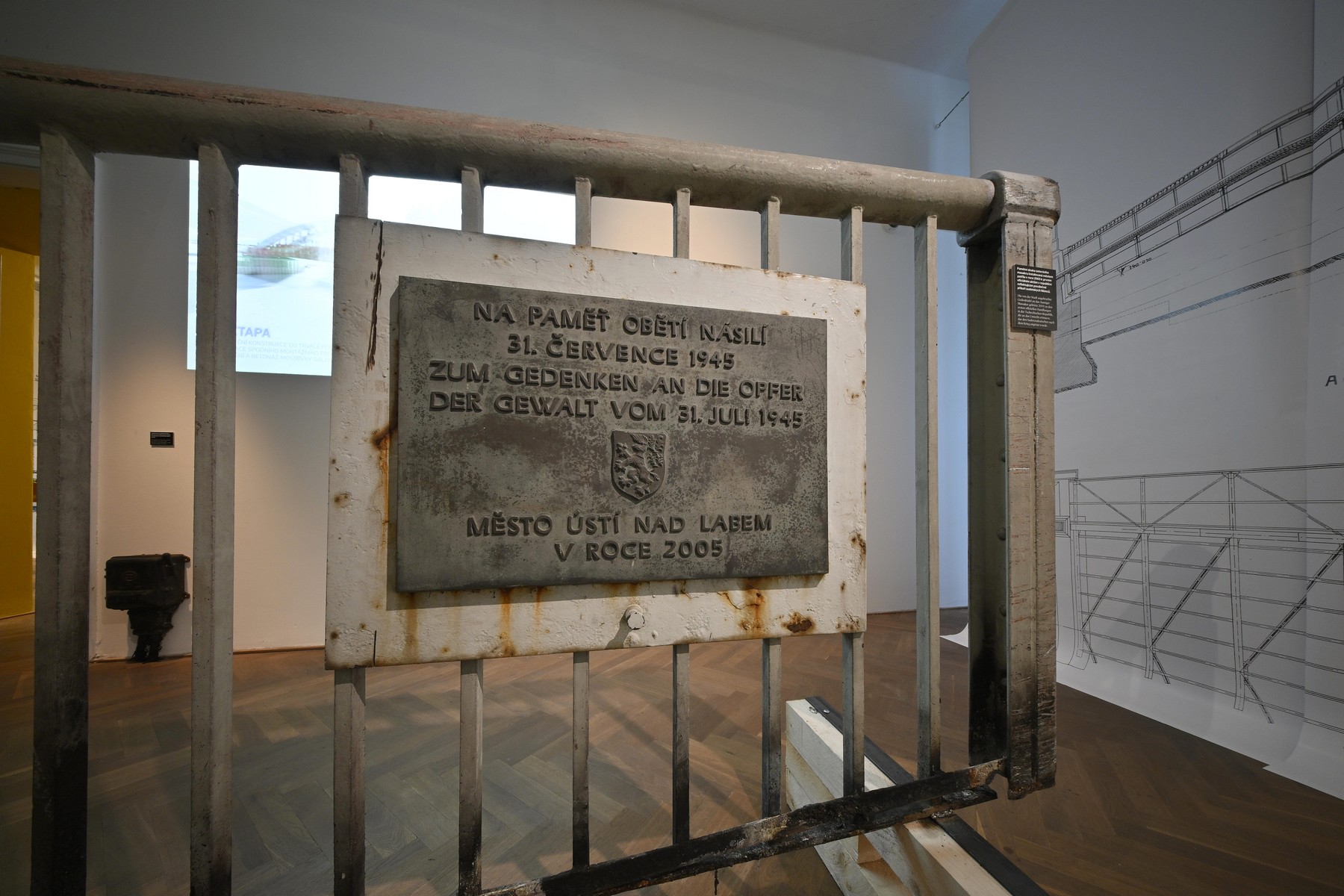 Featured image for “Pozitivní hlas proti projevům nenávisti”