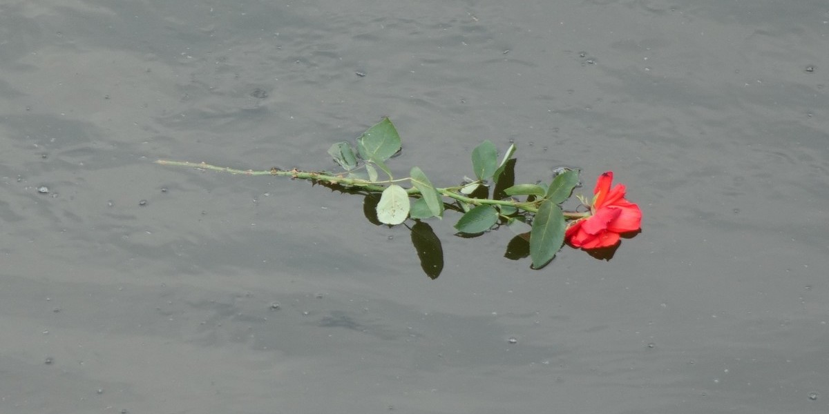 Featured image for “Brigitte Gottmann zemřela”